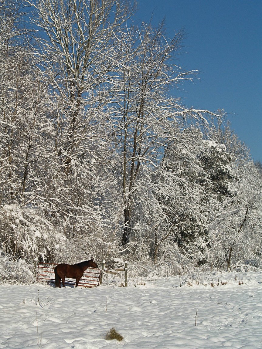 464153_10150563458626272_537432634_o