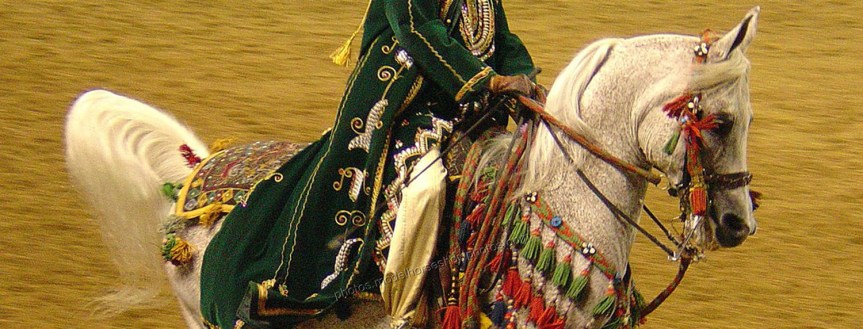 GET YOUR HORSE FIX: Equestrian events Feb. 14-15 near&nbsp;Roanoke