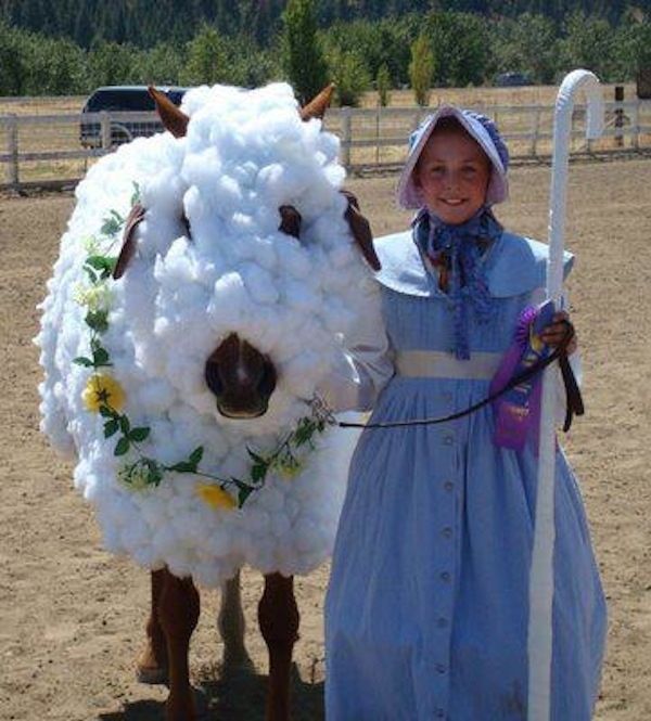 Headed for a costume class? 10 horse Halloween costume ideas  Roanoke  Equestrian