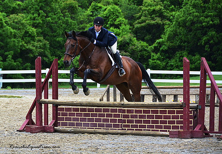 Cross View opens 2016 horse show&nbsp;series