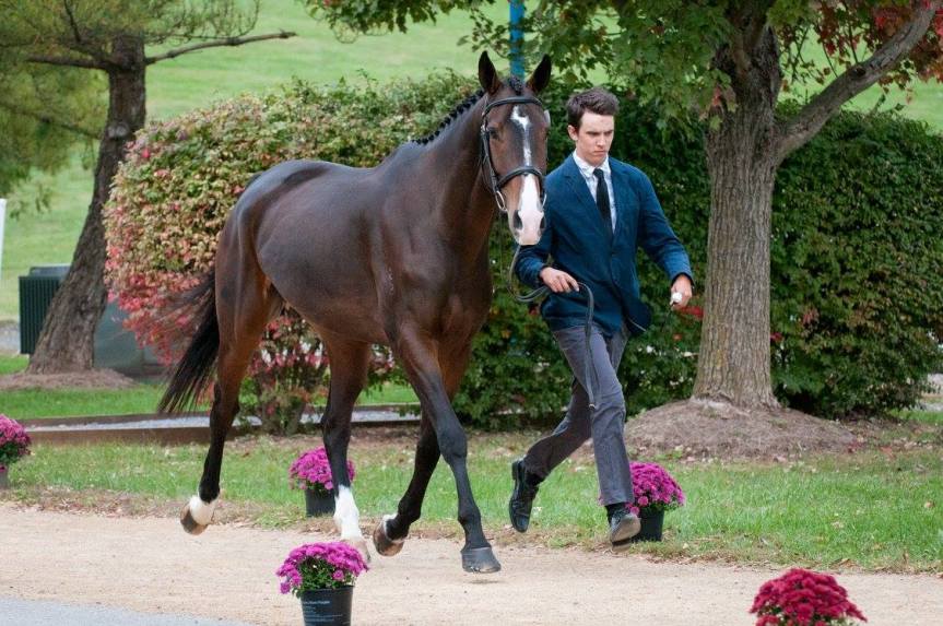 Virginia Horse Trials under way at Virginia Horse&nbsp;Center