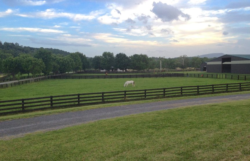 20157489_777952482384978_2431514375398416253_o