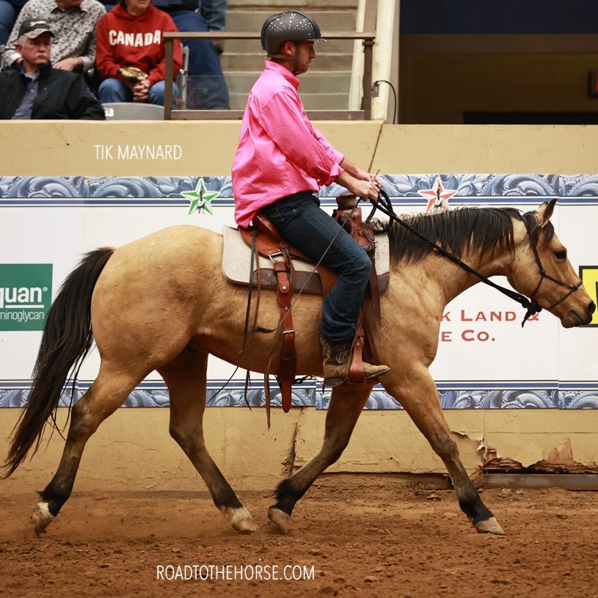 Book Review: ‘In the Middle Are the Horsemen’ takes an honest look at horsemen and horsemanship across&nbsp;disciplines