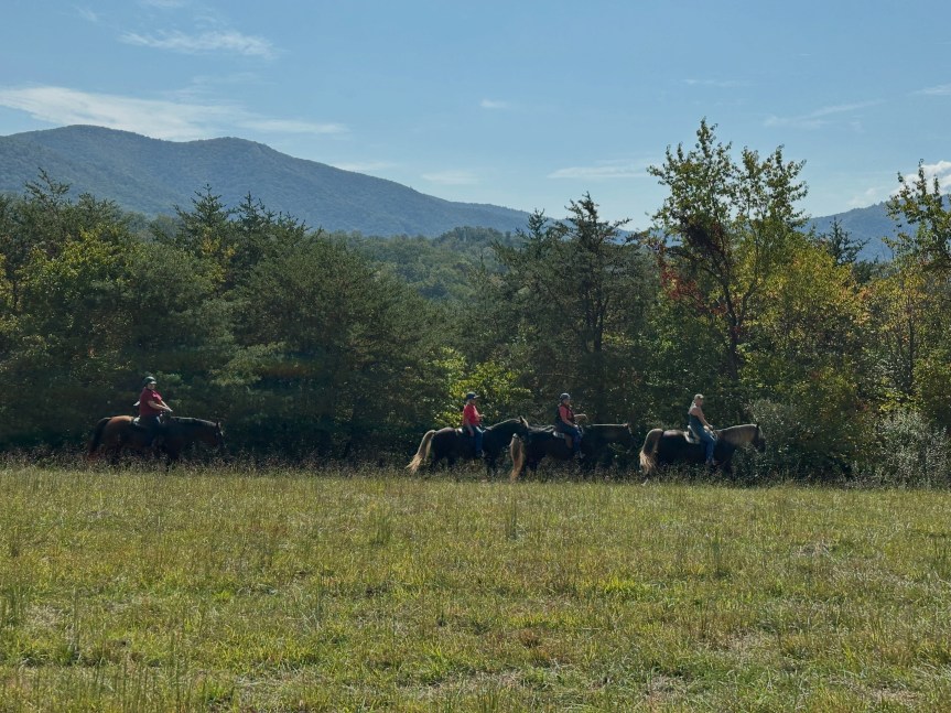 5 things I learned at my first Equine Trail Sports&nbsp;competition