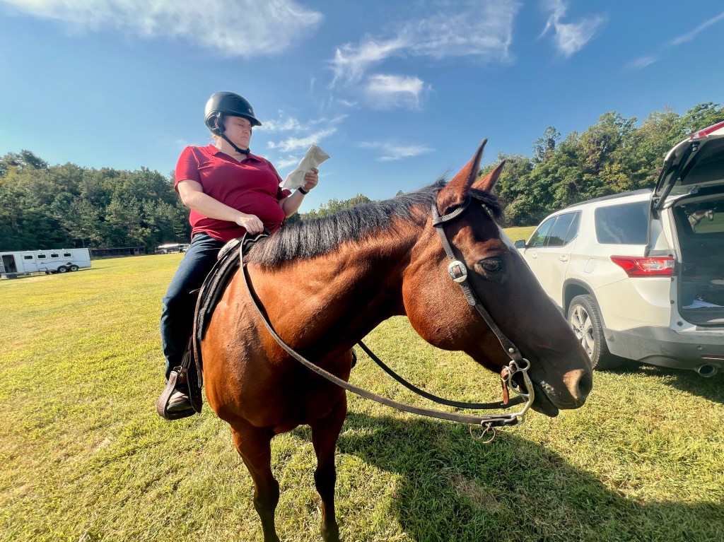 A woman sits on a bay horse in a Western saddle while reading a paper printout.